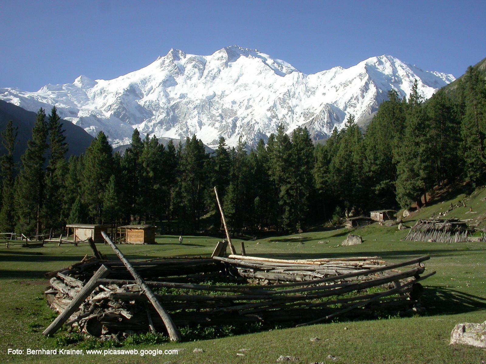 Nanga%20Parbat%20from%20Fairy%20Meadows.jpg